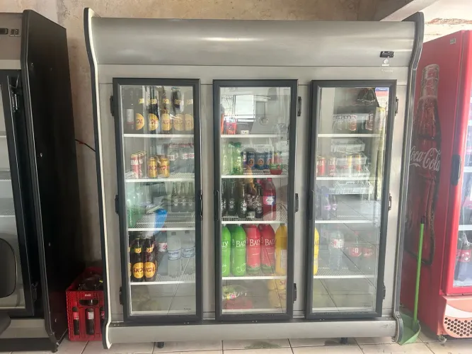 Freezer FRICON