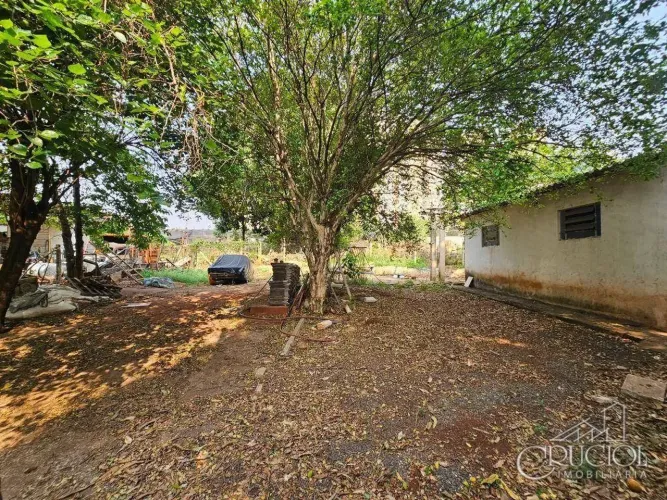 Chácara para alugar, 300 m² por R$ 1.500,00/mês - Cláudia - Londrina/PR