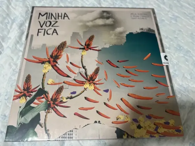 Oferta dupla: Zélia duncan vinil lp Minha Voz e Sortimento LEIA