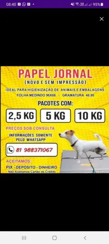 Papel Jornal