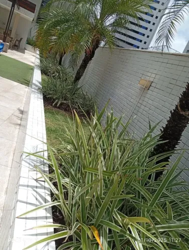 Jardinagem em geral