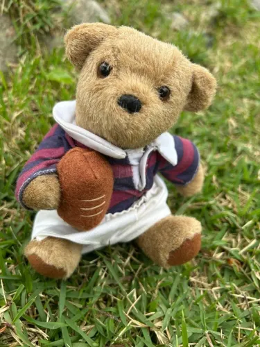 urso de pelúcia rugby c´est mignon