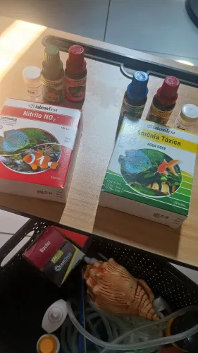 Kit aquário mantimentos