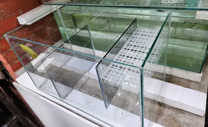 Sump 50x28x30