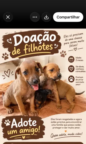 Doação de filhotes de cachorro