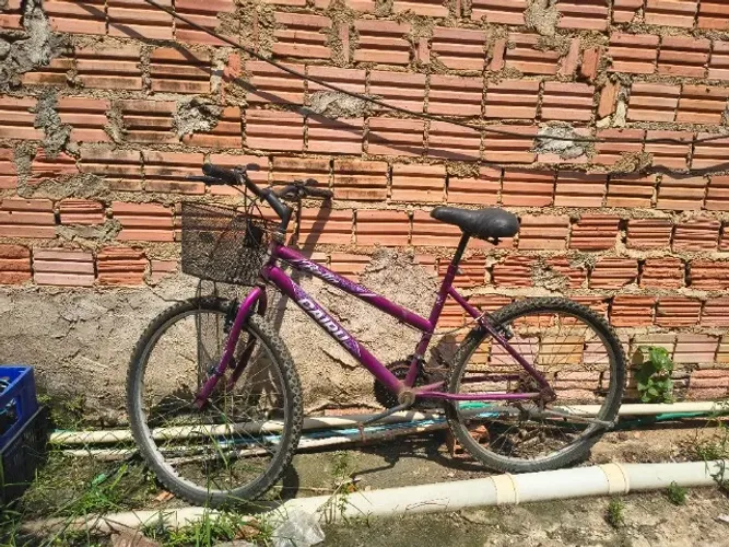Bicicleta