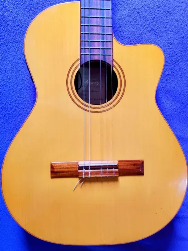 ? violão do Giorgio eletrônico funcionando perfeitamente ?