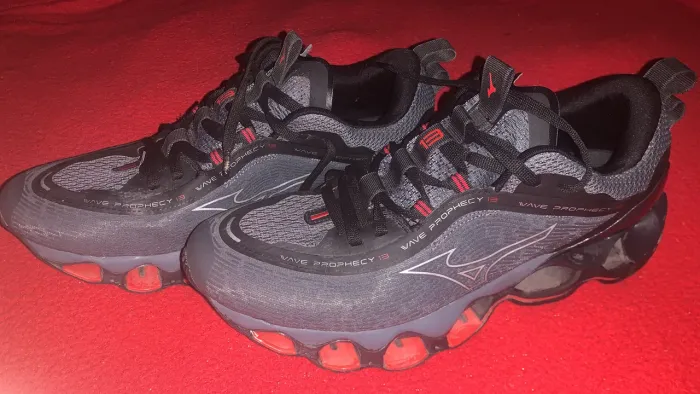 Mizuno prophecy 13