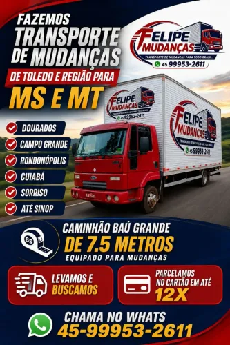 Caminhão baú / transporte de mudanças / Paraná / mato grosso