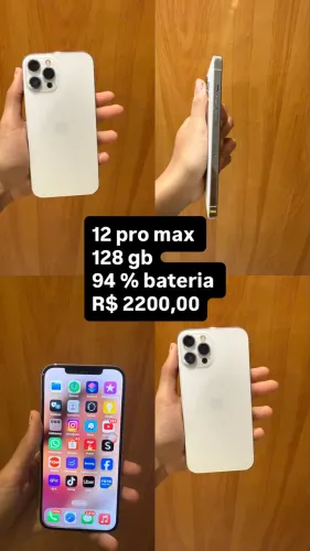 12 pro max 