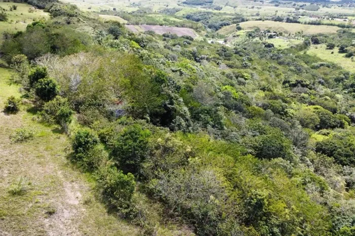 Sítio de 10,8 hectares (108.000 m²) em Pedro Régis - PB, O Paraíso Rural que Você Procura!