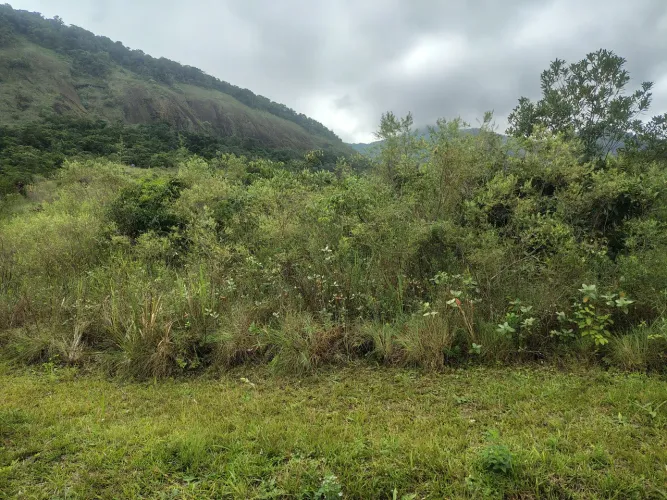 Terreno 140mts BONETE Ilha Bela.