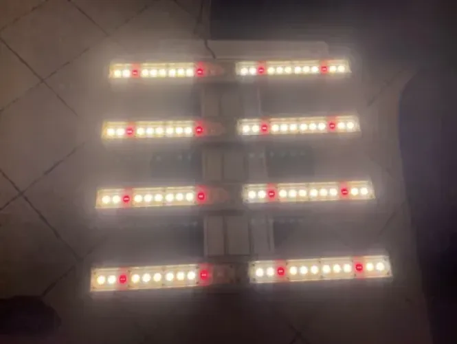 LED cultivo indoor , GL - L7002-250W, BIVOLT