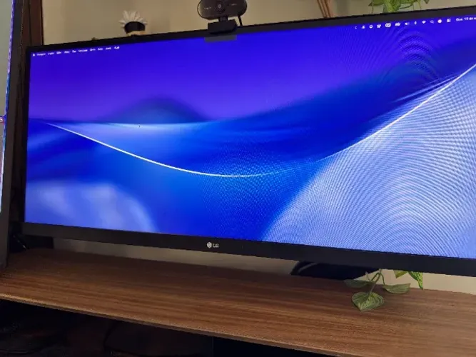 Monitor LG 29" Ultrawide + Braço articulado