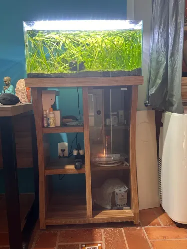 Aquário 70L completo