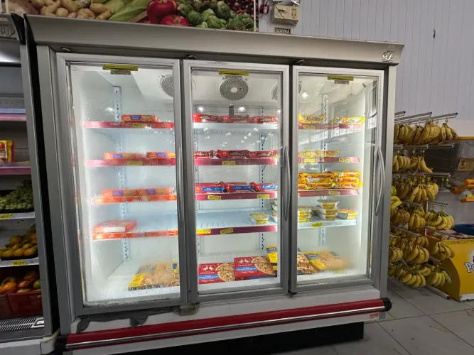 Freezer vertical congelado