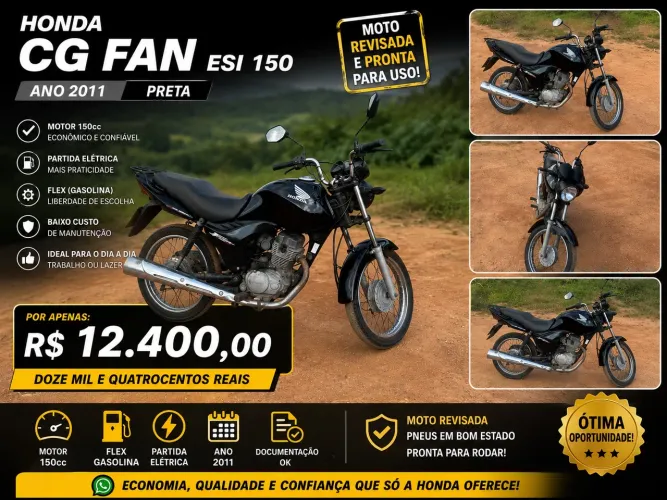 Fan 150 2011