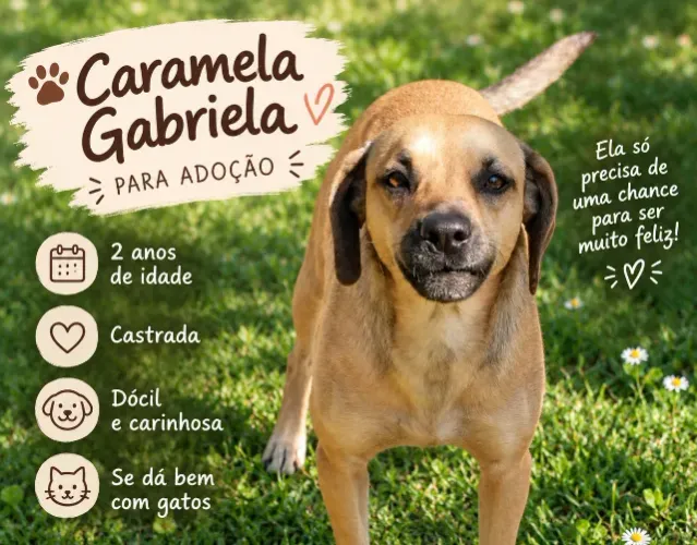 Caramela Gabriela - Linda e amorosa cachorrinha para adoção