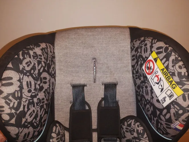 Cadeirinha para carro suporta até 25kg