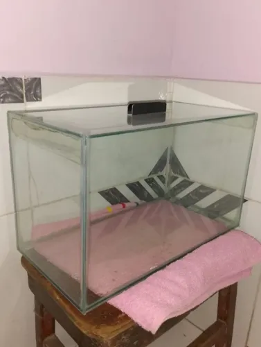 Aquário para peixe