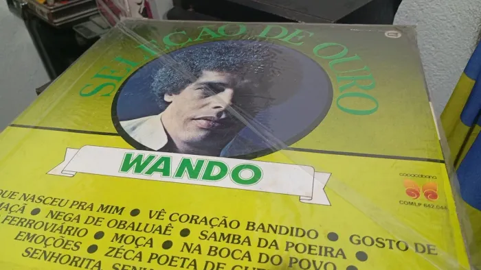 Discos vinil vários títulos