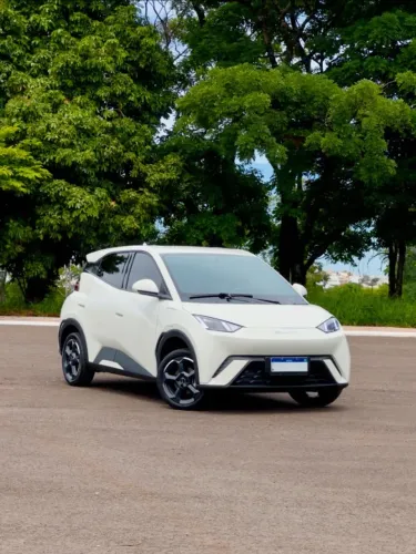 BYD Dolphin Mini (Elétrico) 2024