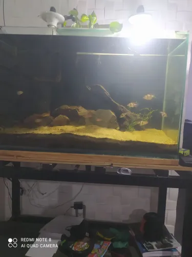 Aquário 200 litros 