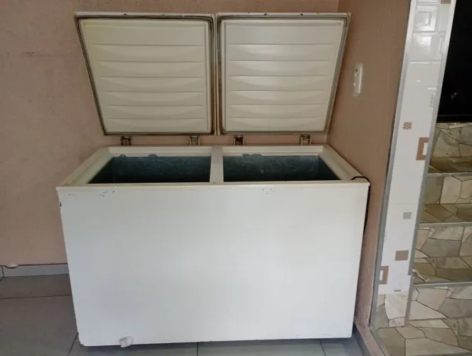 Freezer vertical