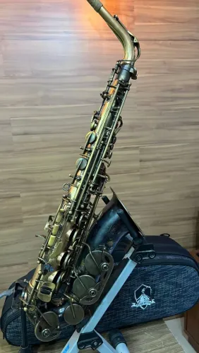 Sax Alto Magenthus Profissional  em Bronze