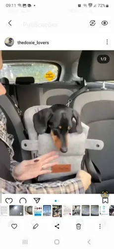 Suporte para pet