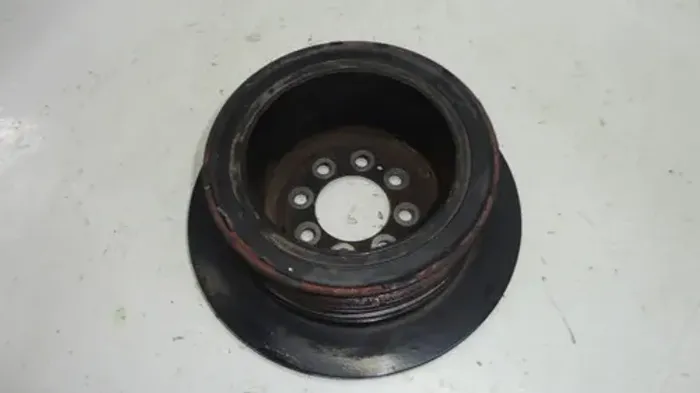 Polia Virabequim Poly V Bmw X5 04