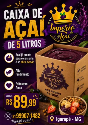 Caixa de Açaí de 5 Litros