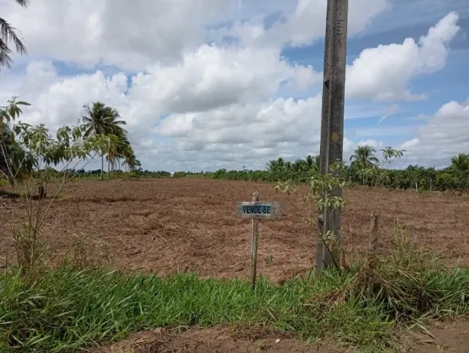 Vendo Terreno 5 Tarefas No Colônia Treze - 15.125 Metros - Oportunidade