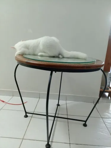Mesa de centro, design moderno 
