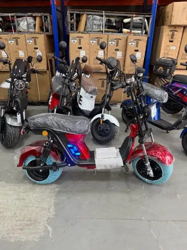Bicicleta Elétrica X13 Pro LED 1.000wts