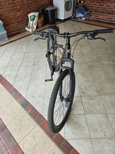 Mountain bike aro 29