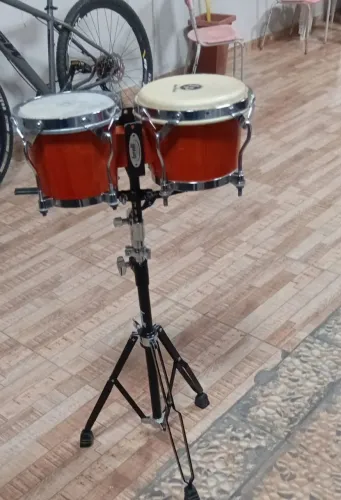 Bongô com estante nova 