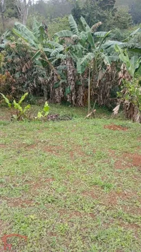 Terreno à venda, 312 m² por R$ 130.000,00 - Vau Novo - Cajamar/SP