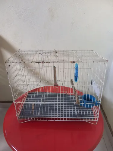 Gaiola para piriquito