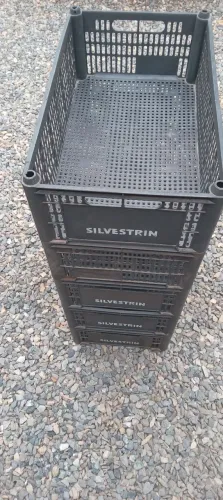 Caixas plastica para transporte de frutas