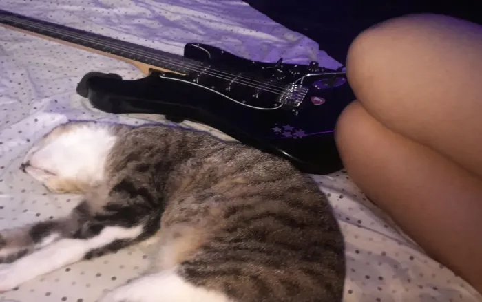 Guitarra stratocaster preta