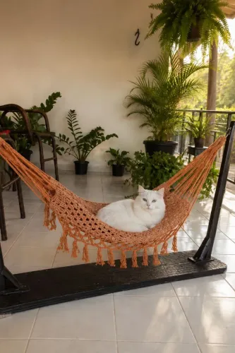 Redinha pet