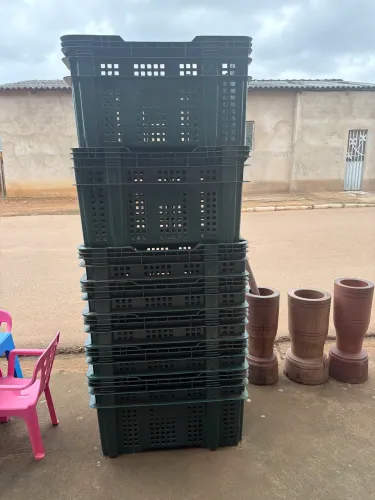 CAIXAS HORTI FRUTI 