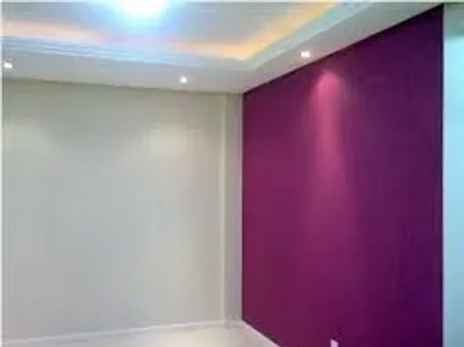 Pintor Profissional 