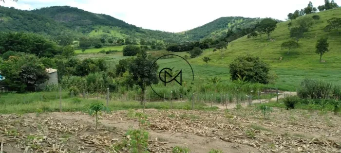 VENDE-SE TERRENO 9 HECTARES DJALMA DUTRA DIVINÓPOLIS/MG
