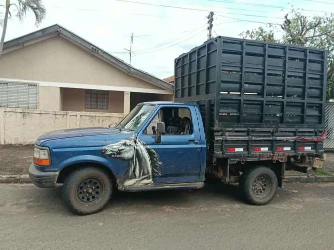 Caminhonete F1000