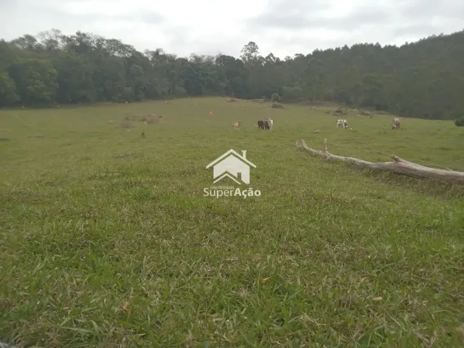 Área Rio Acima ll 5 Alqueires 121 Mil M²- Atibaia.