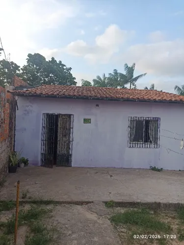 Casa com terreno e plantação de jussara