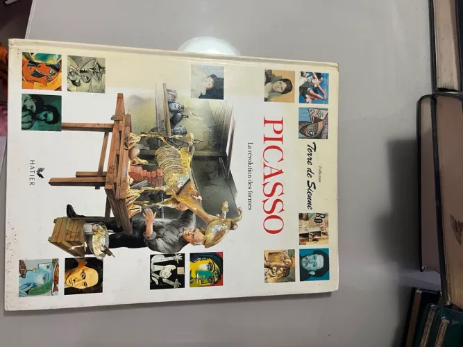 Picasso. La Révolution dês formes