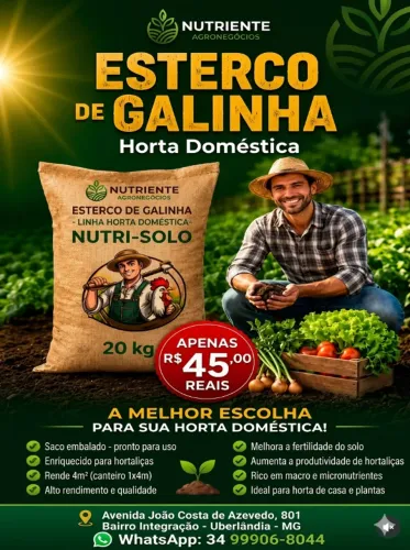 esterco de galinha